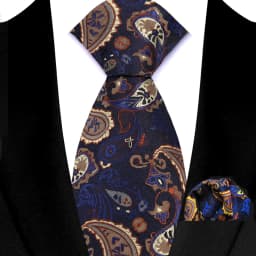 Men's Ties Set Luxury Paisley Floral Neck Ties Business Formal Necktie Pocket Square Set For Wedding Party Suits Accessories