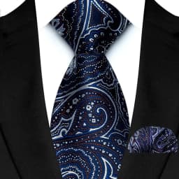 Men's Ties Set Luxury Paisley Floral Neck Ties Business Formal Necktie Pocket Square Set For Wedding Party Suits Accessories