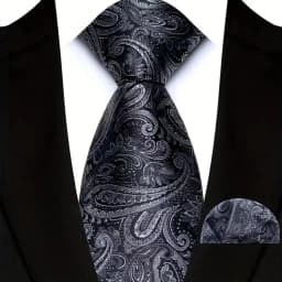 Men's Ties Set Luxury Paisley Floral Neck Ties Business Formal Necktie Pocket Square Set For Wedding Party Suits Accessories