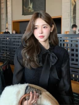 Women's Shirt Bow Tie Lantern Sleeve Slimming Pure Color Glossy Spring New Style Korean Style Breathable Skin-Friendly
