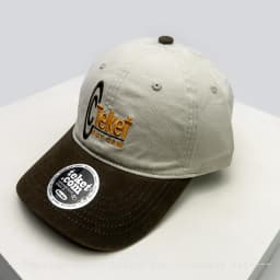 New Men Women Korean Embroidered Letters Dolphin Baseball Hats Sunshade Color Block Versatile Retro Peaked Caps Fashion Street