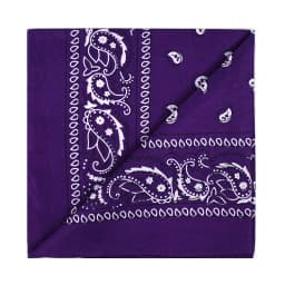 Unisex Men Women Bandana Hairband Cowboy Mens Biker Sports Headwear Wrist Hairwrap Single Sided Head Wrap Scarf Paisley
