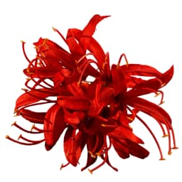 Red Magic-Lily Hairpin Silk Flower Tassel Hair Accessories for Women Birthday Party Stage Show Elegant Headwear