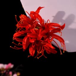 Red Magic-Lily Hairpin Silk Flower Tassel Hair Accessories for Women Birthday Party Stage Show Elegant Headwear