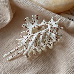 Creative Acrylic Conch Hair Clip Irregular Spots Headdress Hair Claw Grasp Geometric Hair Accessories Hair Gripper Makeup