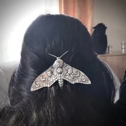 Creative, niche and Retro Insect Hair Clips, Moths on the Back of the Head, Spring Clips, Top Clips, Girls' Accessories