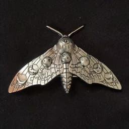 Creative, niche and Retro Insect Hair Clips, Moths on the Back of the Head, Spring Clips, Top Clips, Girls' Accessories