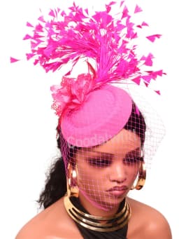 Veils Flower Fascinator Hat Hair Clip Ladies Kentucky Derby Ascot Festival Costume Party Show girl Headwear Women Pillbox Cap