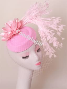 Veils Flower Fascinator Hat Hair Clip Ladies Kentucky Derby Ascot Festival Costume Party Show girl Headwear Women Pillbox Cap