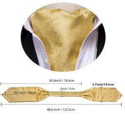 Hi-Tie 4pcs Mens Paisley Ascot With Brooch Black Blue Gold Beige Cravat Tie Hanky Cufflinks for Wedding Business Prom Gift