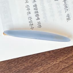 South Korean France Little Willow Leaf Hair Clip French Simple and Elegant Style Side Clip Bang Hairpin One Line Hair Clip