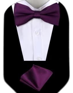 Bow Tie Man Wedding Luxury Bowtie Hanky Neckwear Fashion Elegant Set Neck Tie With Pocket Square Handkerchief Accessories Cravat