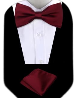Bow Tie Man Wedding Luxury Bowtie Hanky Neckwear Fashion Elegant Set Neck Tie With Pocket Square Handkerchief Accessories Cravat