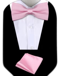 Bow Tie Man Wedding Luxury Bowtie Hanky Neckwear Fashion Elegant Set Neck Tie With Pocket Square Handkerchief Accessories Cravat