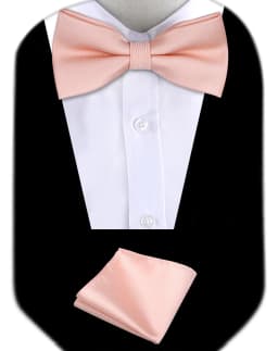 Bow Tie Man Wedding Luxury Bowtie Hanky Neckwear Fashion Elegant Set Neck Tie With Pocket Square Handkerchief Accessories Cravat