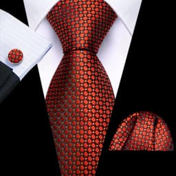Mens Tie Golden Red Green Pink Plaid Checks Geometric Ties Hanky Cufflinks Set Necktie Formal Wedding Dinner silk Party