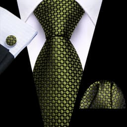 Mens Tie Golden Red Green Pink Plaid Checks Geometric Ties Hanky Cufflinks Set Necktie Formal Wedding Dinner silk Party
