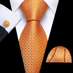 Mens Tie Golden Red Green Pink Plaid Checks Geometric Ties Hanky Cufflinks Set Necktie Formal Wedding Dinner silk Party