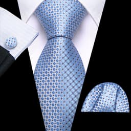 Mens Tie Golden Red Green Pink Plaid Checks Geometric Ties Hanky Cufflinks Set Necktie Formal Wedding Dinner silk Party