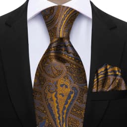 Men's 2pcs Paisley Tie Set Luxury Wedding Blue Brown Grey Necktie Handky Gift For Men Fashion Designer Business Party Tie Gift