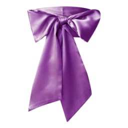Women Dress Top Bowknot Waistband Waist Bow Corset Satin Silk Wide Waist Belt Fabric Ribbon Cummerbunds Lace Up Waist Strap