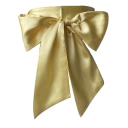 Women Dress Top Bowknot Waistband Waist Bow Corset Satin Silk Wide Waist Belt Fabric Ribbon Cummerbunds Lace Up Waist Strap