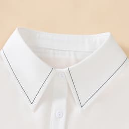 1 Piece of Decorative Fake Collar for Women, Versatile Fake Collar, Exquisite Shirt Fake Collar, Base Layer with Embroidery, Sui
