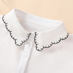1 Piece of Decorative Fake Collar for Women, Versatile Fake Collar, Exquisite Shirt Fake Collar, Base Layer with Embroidery, Sui