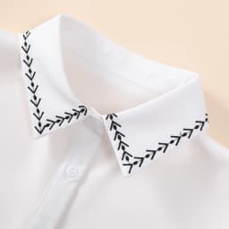 1 Piece of Decorative Fake Collar for Women, Versatile Fake Collar, Exquisite Shirt Fake Collar, Base Layer with Embroidery, Sui