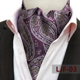 Mens Ascot Necktie Paisley Floral Ties For Man Polyester Jacquard Woven Cravat For Wedding Business Party Accessories