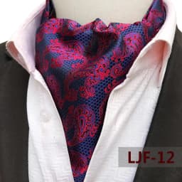 Mens Ascot Necktie Paisley Floral Ties For Man Polyester Jacquard Woven Cravat For Wedding Business Party Accessories