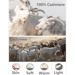 100% Cashmere Knitted Scarf Soft Warm Contrast Trim Fashion Accessory Winter Wrap Versatile Stylish Daily Wear Elegant Gift