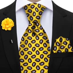 Luxury Soft Silk Mens Ties Floral Brown Green Red Ties Paisley NeckTie Pocket Square Brooch Set Men's Wedding Party Tie