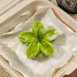 1/6pcs Hawaiian Beach Vacation Frangipani Hair Clips for Woman Elegant Shark Clip Fashion Girls Ponytail Clip Hair Clamp