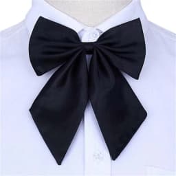 Stripe Airline Stewardess Necktie Korean Style Dots Bowknot Neckties Shirt Accessory Bank Teller Neck Tie