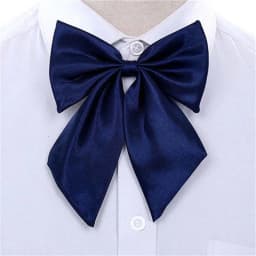 Stripe Airline Stewardess Necktie Korean Style Dots Bowknot Neckties Shirt Accessory Bank Teller Neck Tie