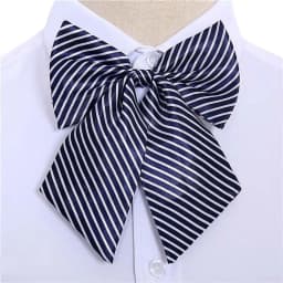 Stripe Airline Stewardess Necktie Korean Style Dots Bowknot Neckties Shirt Accessory Bank Teller Neck Tie