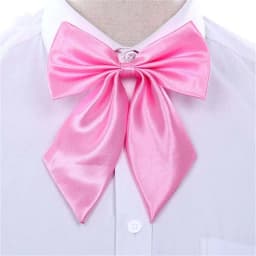 Stripe Airline Stewardess Necktie Korean Style Dots Bowknot Neckties Shirt Accessory Bank Teller Neck Tie