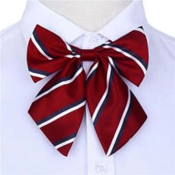 Stripe Airline Stewardess Necktie Korean Style Dots Bowknot Neckties Shirt Accessory Bank Teller Neck Tie
