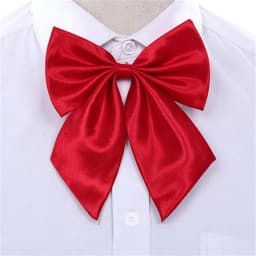 Stripe Airline Stewardess Necktie Korean Style Dots Bowknot Neckties Shirt Accessory Bank Teller Neck Tie