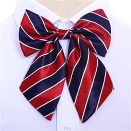 Stripe Airline Stewardess Necktie Korean Style Dots Bowknot Neckties Shirt Accessory Bank Teller Neck Tie