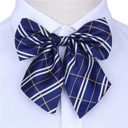 Stripe Airline Stewardess Necktie Korean Style Dots Bowknot Neckties Shirt Accessory Bank Teller Neck Tie