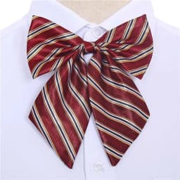 Stripe Airline Stewardess Necktie Korean Style Dots Bowknot Neckties Shirt Accessory Bank Teller Neck Tie
