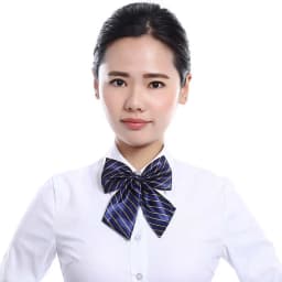 Stripe Airline Stewardess Necktie Korean Style Dots Bowknot Neckties Shirt Accessory Bank Teller Neck Tie