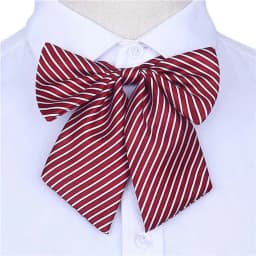 Stripe Airline Stewardess Necktie Korean Style Dots Bowknot Neckties Shirt Accessory Bank Teller Neck Tie