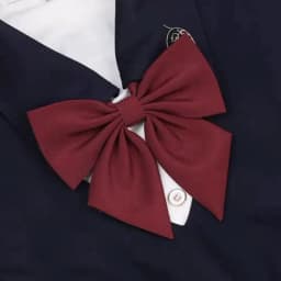 Women's Bowtie Bow Bowknot Adjustable Pre-tied Bow Tie Necktie for Lolita JK Cosplay Costume Accessory