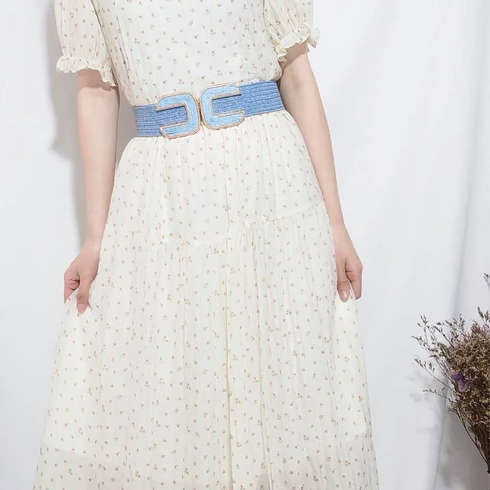 Fashion Stretch Alloy Buckle PP Grass Braided Belt All-match Elastic Waist Seal Multicolor Decorative Dress Belt for Women