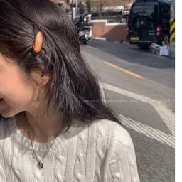 Fever blogger's same elliptical small hair clip, Korean French side clip, retro bangs clip, duckbill clip cute temperament