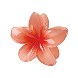 2025 New Hawaiian Gradient Hair Clips Women Flower Hair Claws Shark Hairpins Vacation Beach Style Hairpins Hair Accessories