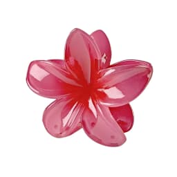 2025 New Hawaiian Gradient Hair Clips Women Flower Hair Claws Shark Hairpins Vacation Beach Style Hairpins Hair Accessories